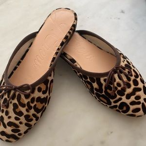 New with Box JCrew Zoe Leopard Mule